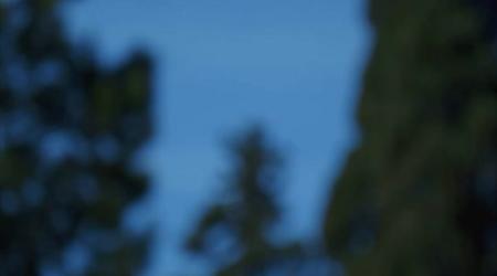 Een weekend om nooit te vergeten